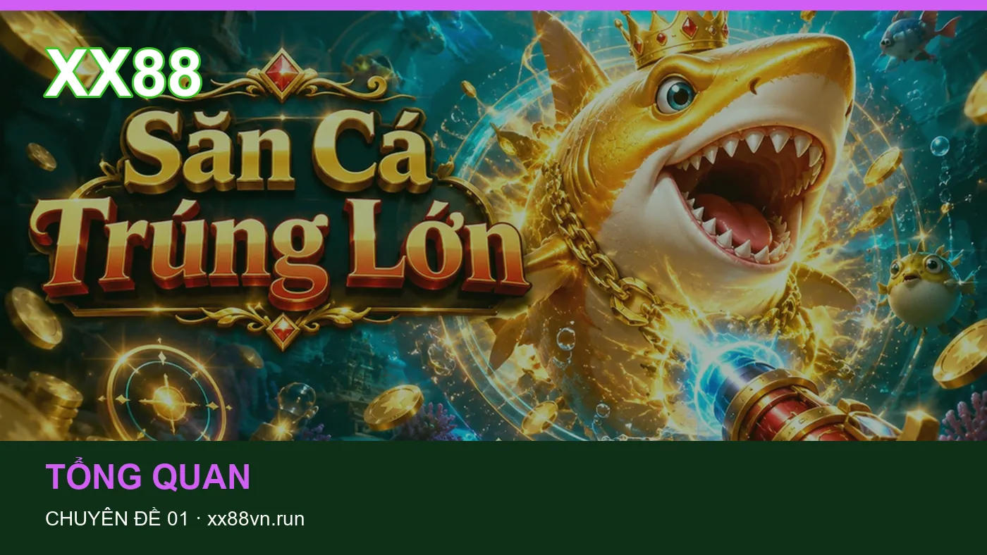 Cách bắt đầu đọc chuyên mục Tổng quan trên XX88